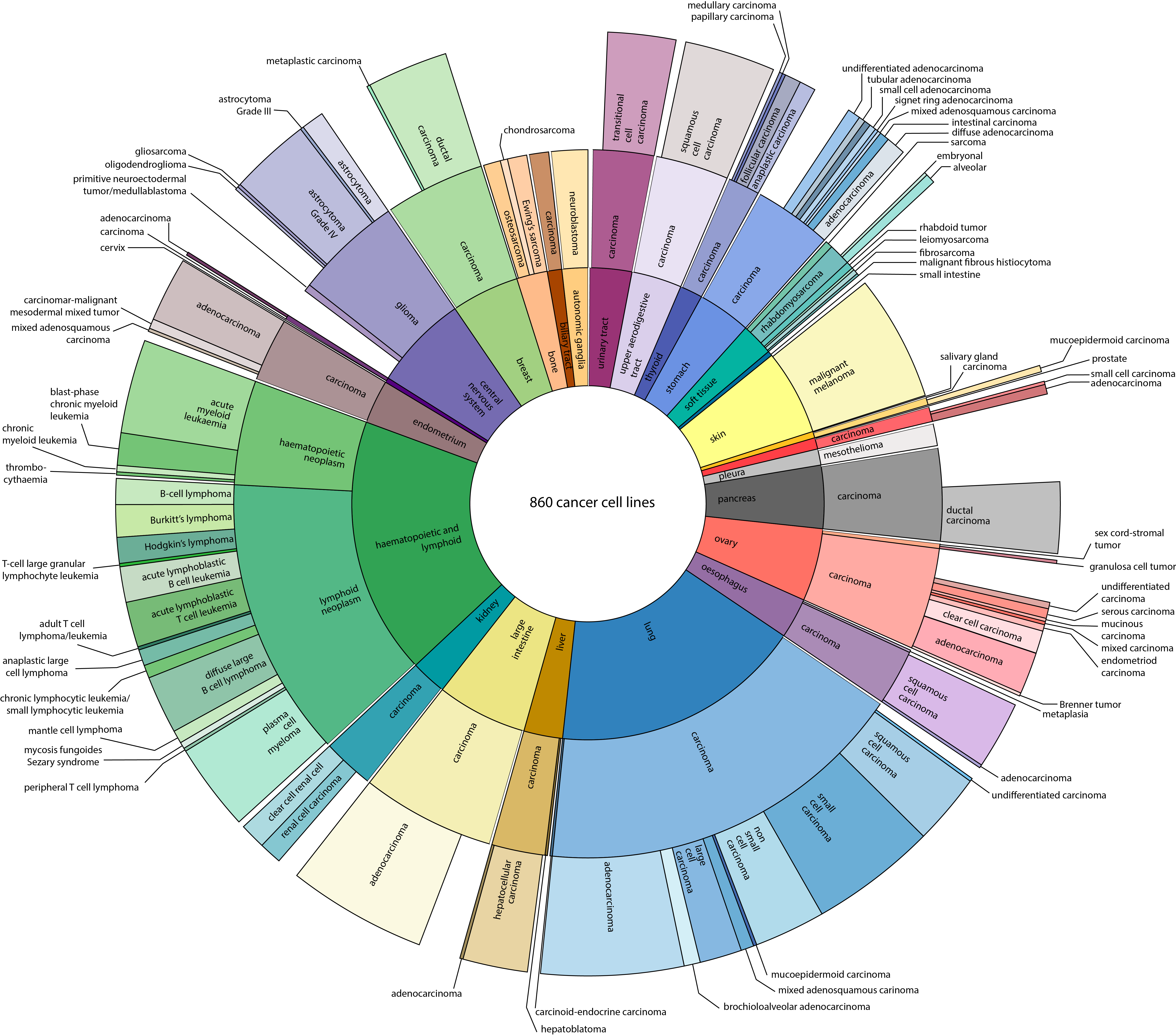 Cancer Cell Lines from CTD2